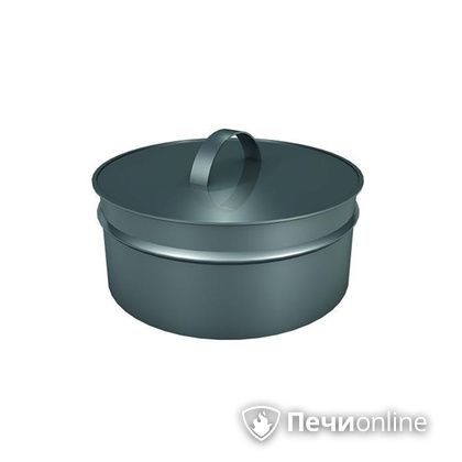 Заглушки Теплов и Сухов Заглушка ревизии Термо-Р 304 0.5 D220(120) в Орле