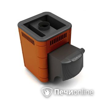 Дровяная банная печь TMF Оса Carbon терракота дверь антрацит в Орле