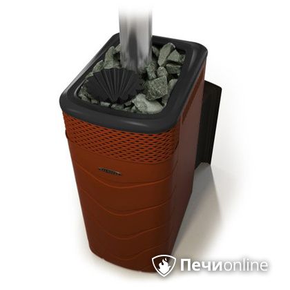 Дровяная банная печь TMF Гейзер XXL 2017 Inox Витра закрытая каменка терракота в Орле